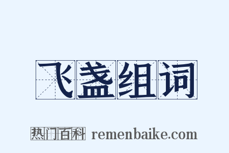 飞盏组词是什么意思的图片